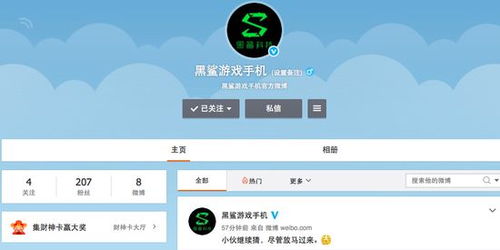 小米戰(zhàn)略投資黑鯊游戲手機 游戲手機市場的新篇章與信息系統(tǒng)集成服務的前景