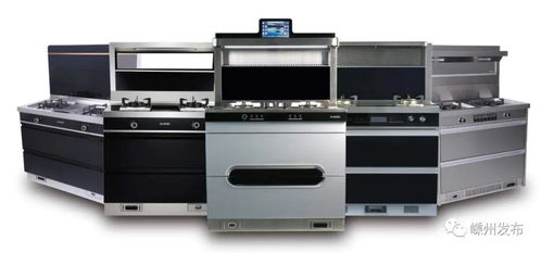 嵊州廚具攜手蘇寧易購，探索廚衛電商新模式