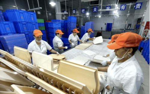 深圳餐具消毒服務(wù)機(jī)構(gòu)引領(lǐng)技術(shù)革新，助力循環(huán)經(jīng)濟(jì)推廣